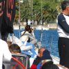 67.Viska regata I etapa122